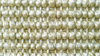 111 chinchilla