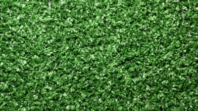 525 gras