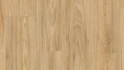 Brushed Elm Brown