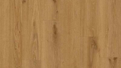 Delicate Oak Toffee