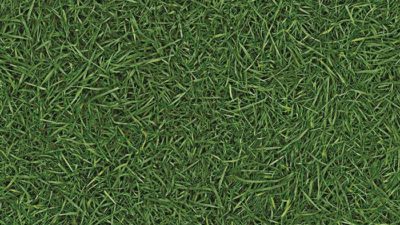 699 gras