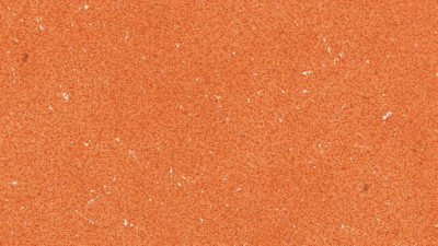 terracotta dark