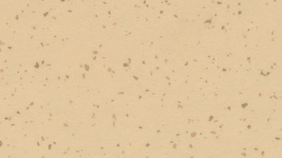 sinai sand stars