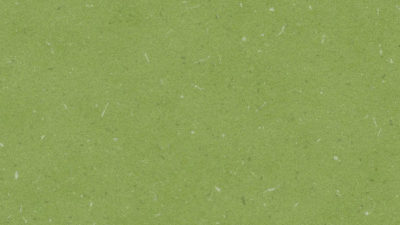 aloe green