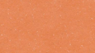 tropical orange